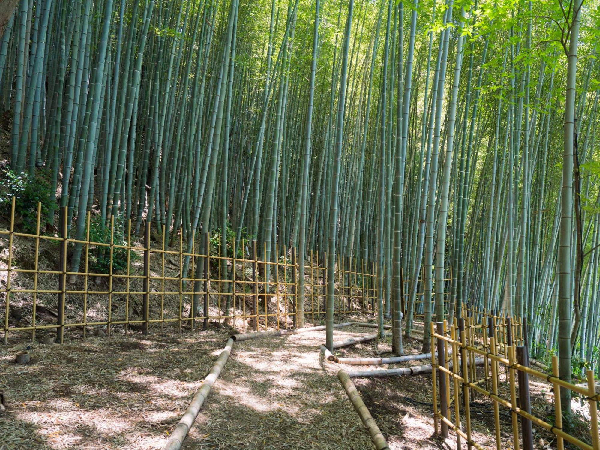 Отель Banyan Tree Higashiyama Киото Экстерьер фото